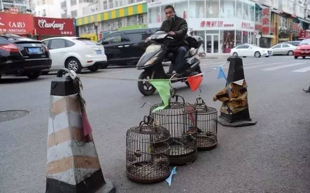 巅峰极速抢车位有什么用,怎么找不到巅峰极速抢车位