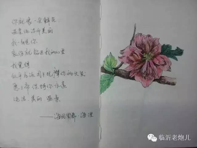 带上手鼓去旅行,带着旅行箱去旅行绘画