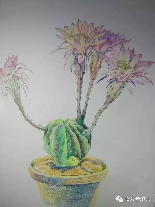 带上手鼓去旅行,带着旅行箱去旅行绘画