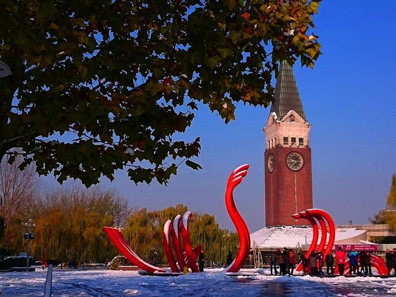 回龙观征婚网,征婚启事爆红全网