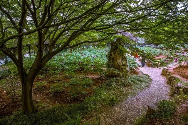 铜陵这里怎么会有金色的河流,惊呆了!