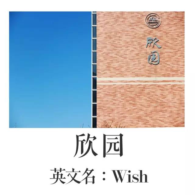 趣谈这里有一本山大非官方英文名称图册