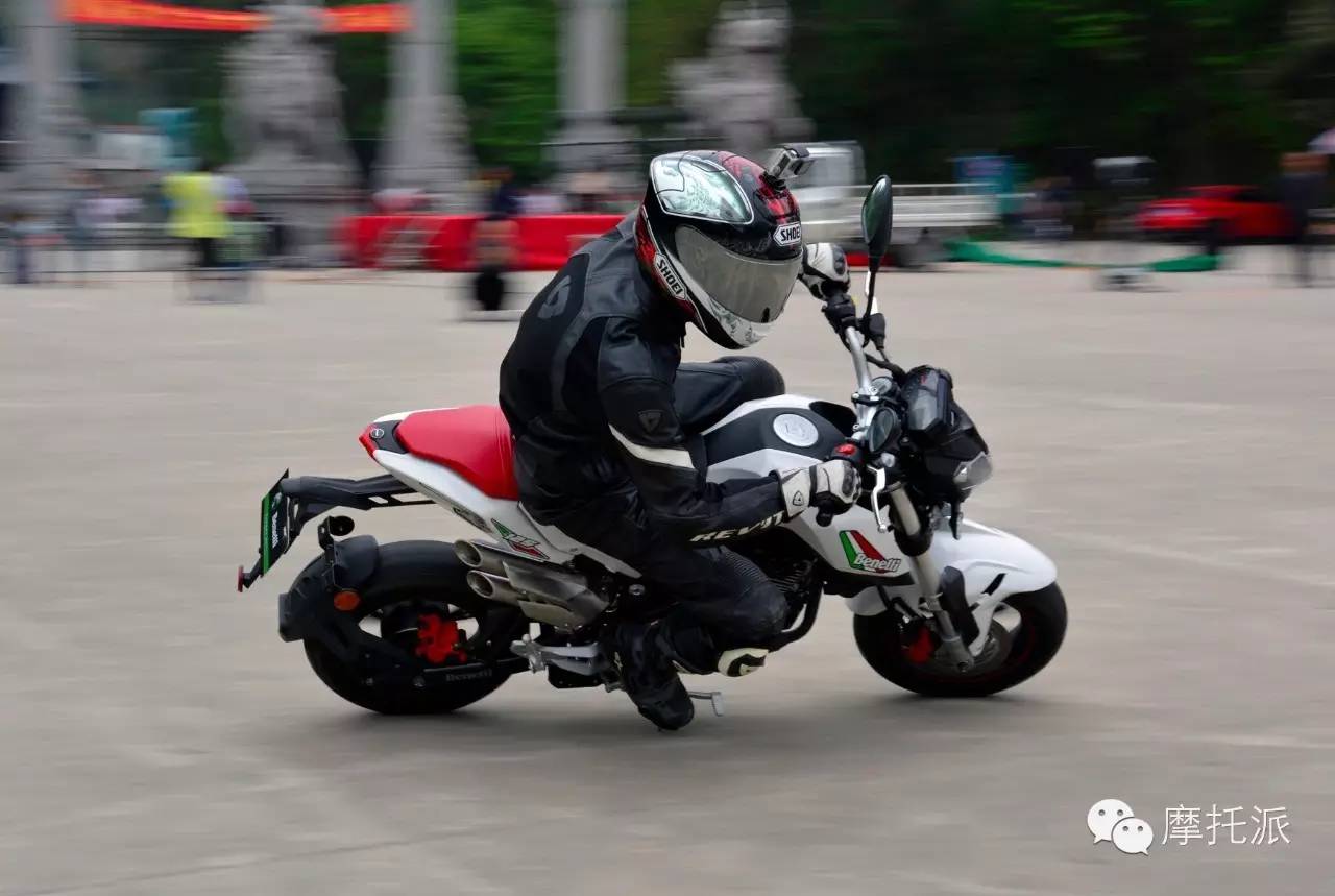 贝纳利小暴龙暴力吗,贝纳利小暴龙最详细的介绍