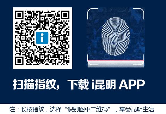 昆明最值得一试的15家卤面馆,昆明张记卤面馆