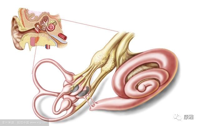 益阳康雅医院内科,益阳康雅医院神经科