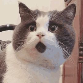 南昌所有驾校考试通过率排名榜,南昌科目三通过率排名