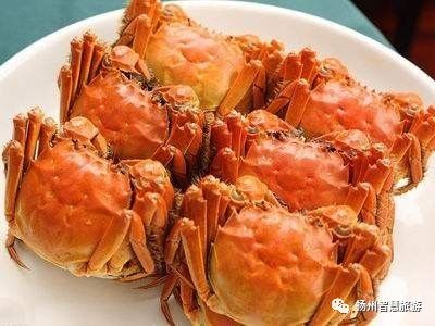 扬州螃蟹,江苏吃螃蟹最出名的地方有哪两个