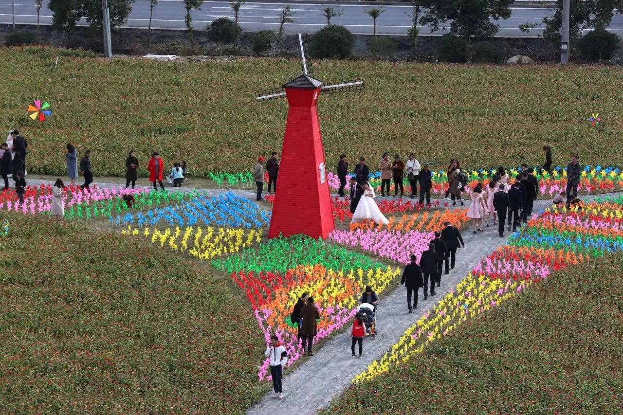 富阳金沙岛花海,富阳花海网红景点