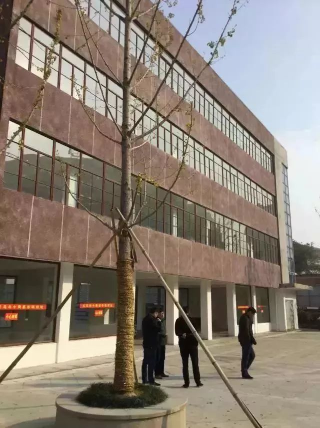 历史上的义乌小商品市场地址,曾经的义乌小商品市场现在怎样了