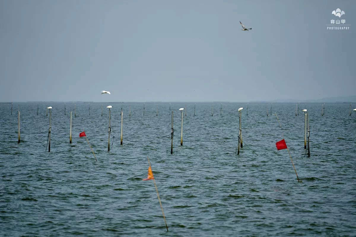 江苏省太湖一座小岛,太湖两个小岛