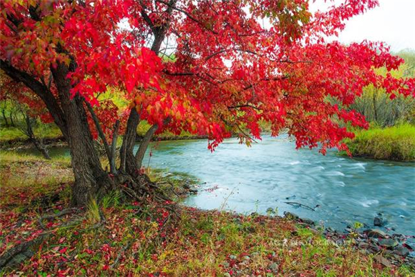 大兴安岭美丽风光,大兴安岭之美