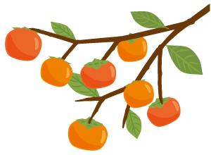 感冒了头疼什么原因,感冒了头疼怎么回事