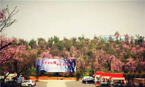 江西赣州冬天,赣州冬天周边旅游景点推荐