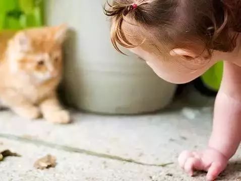 孩子害怕小动物怎么办,看见小动物就害怕怎么办