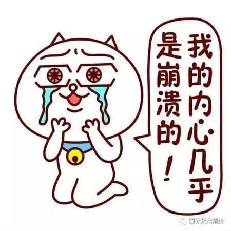 货代高手教你如何做货代,国内货代高手教你做货代