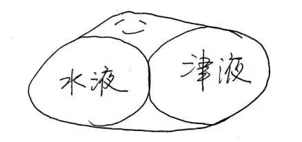 人体十二经络的对应时间表,人体各经络当令时间表