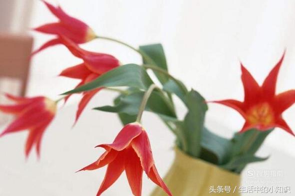 考试综合症有哪些,考试后综合症的主要表现