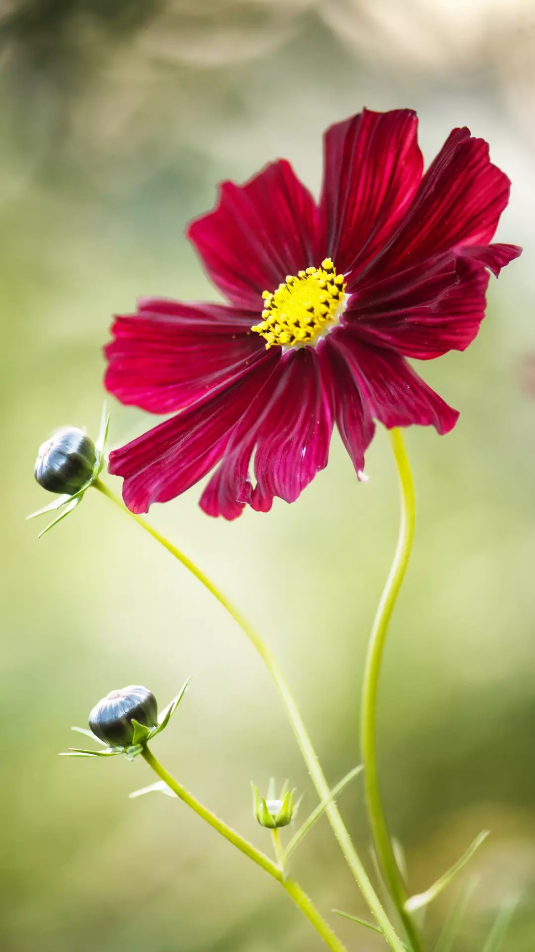 一句话签名简单干净,微信签名一句话霸气