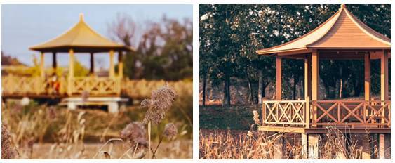 北京四个踏青必备的免费公园,北京小众湿地公园