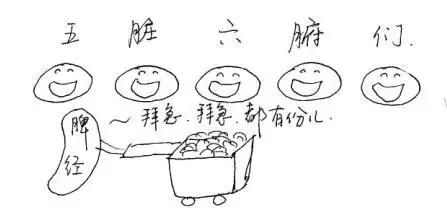 人体十二经络的对应时间表,人体各经络当令时间表