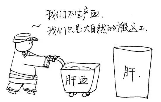 人体十二经络的对应时间表,人体各经络当令时间表