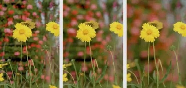 摄影中哪种方式通常来控制景深,怎样控制风光摄影中的景深