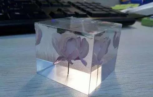 怎么把鲜花做成标本不会枯萎,透明树脂胶怎么制作鲜花标本
