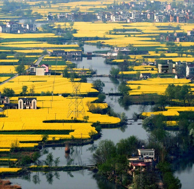 安徽最值得看的景点有哪些,安徽哪些小镇值得一去