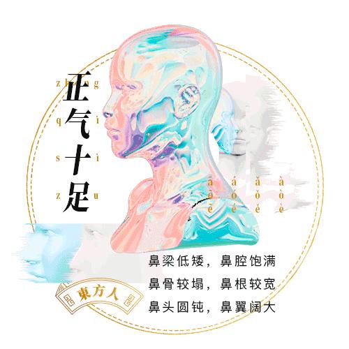 塌鼻梁带眼镜怎么撑起来,矮鼻梁怎么改善