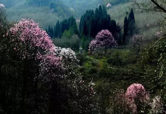 西成高铁12月27日运行时刻表,西成高铁12月3日开通时间