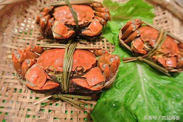 大闸蟹活蟹清蒸,蟹的家常做法大闸蟹清蒸