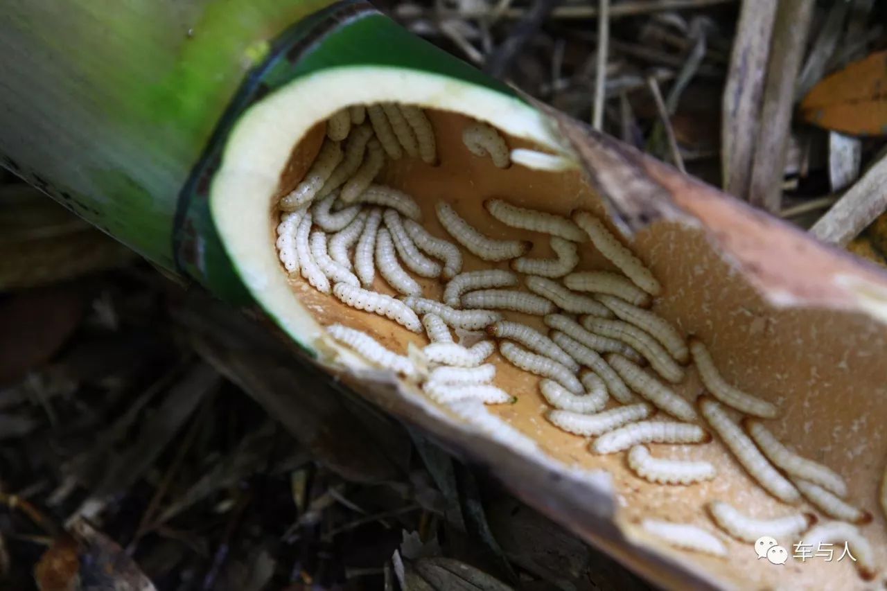 腾冲一个清净古朴的边陲小城,腾冲避暑旅居推荐