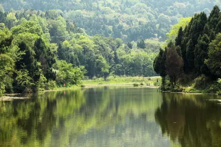 收藏！西成高铁12月6日开通，青白江人的独家攻略来啦！