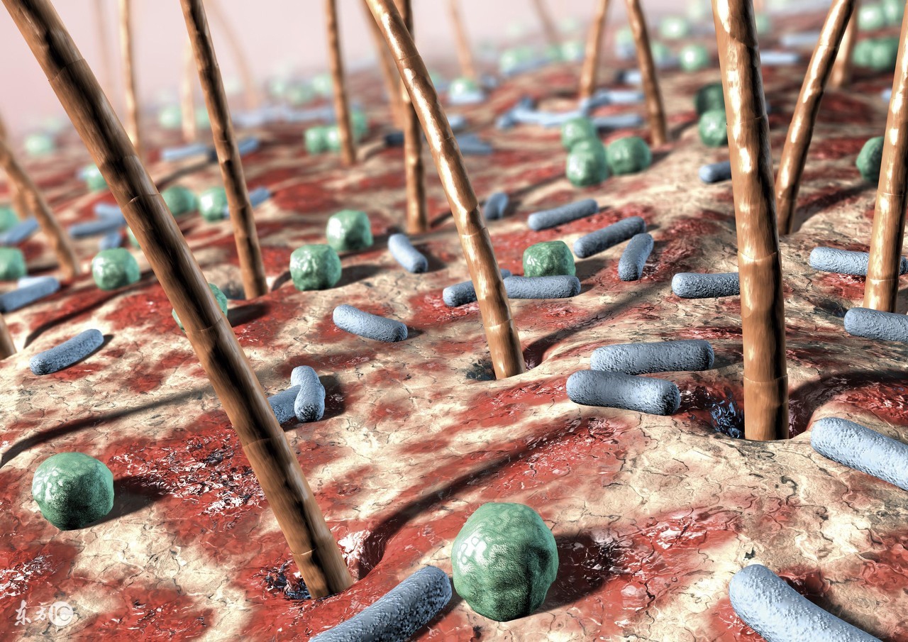 养发店能治脱发吗 (养发馆治疗白发脱发流程)