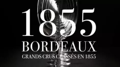 15秒看懂葡萄酒的酿造,5分钟了解法国