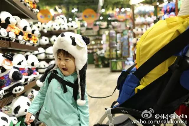 两大一小广州长隆亲子游攻略,最新广州长隆带娃游玩攻略2天