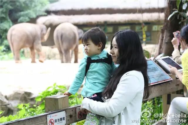 两大一小广州长隆亲子游攻略,最新广州长隆带娃游玩攻略2天