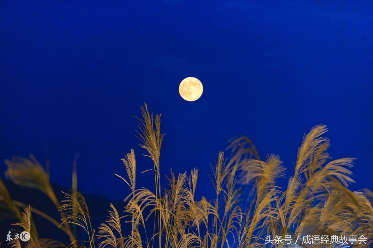 这些神奇的对联你能对上来几个,古人对联有意思的有哪些