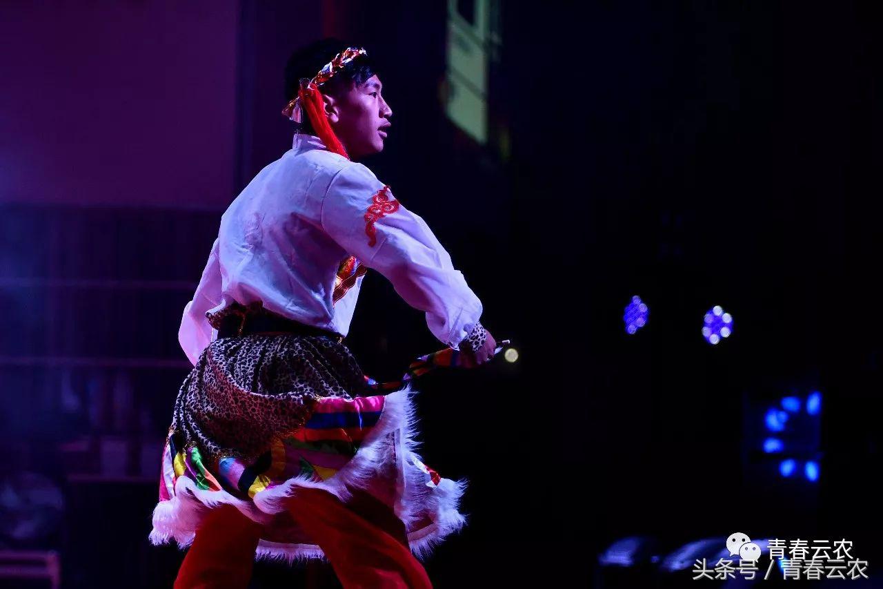 社团嘉年华会场,社团嘉年华图片大全