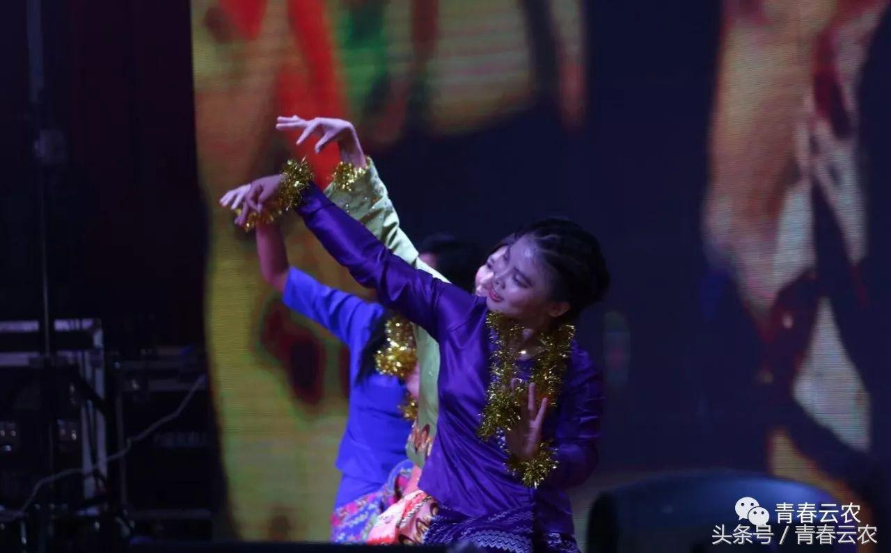 社团嘉年华会场,社团嘉年华图片大全