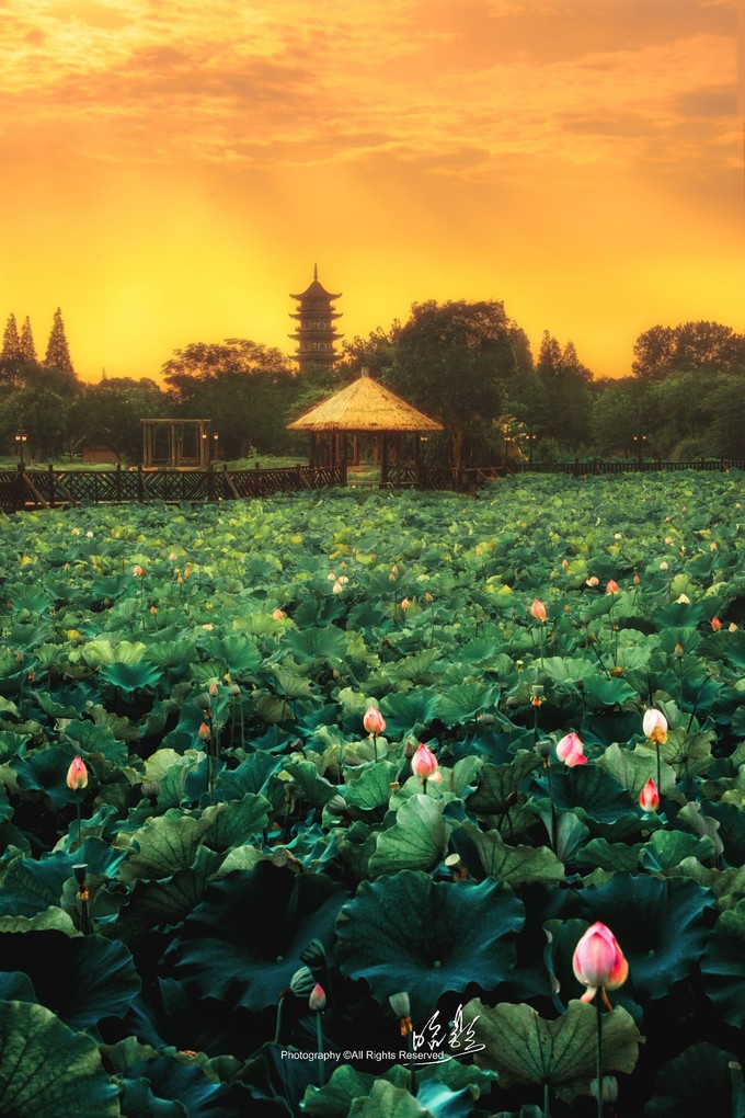 杭州乌镇的攻略,杭州乌镇什么时候去最好