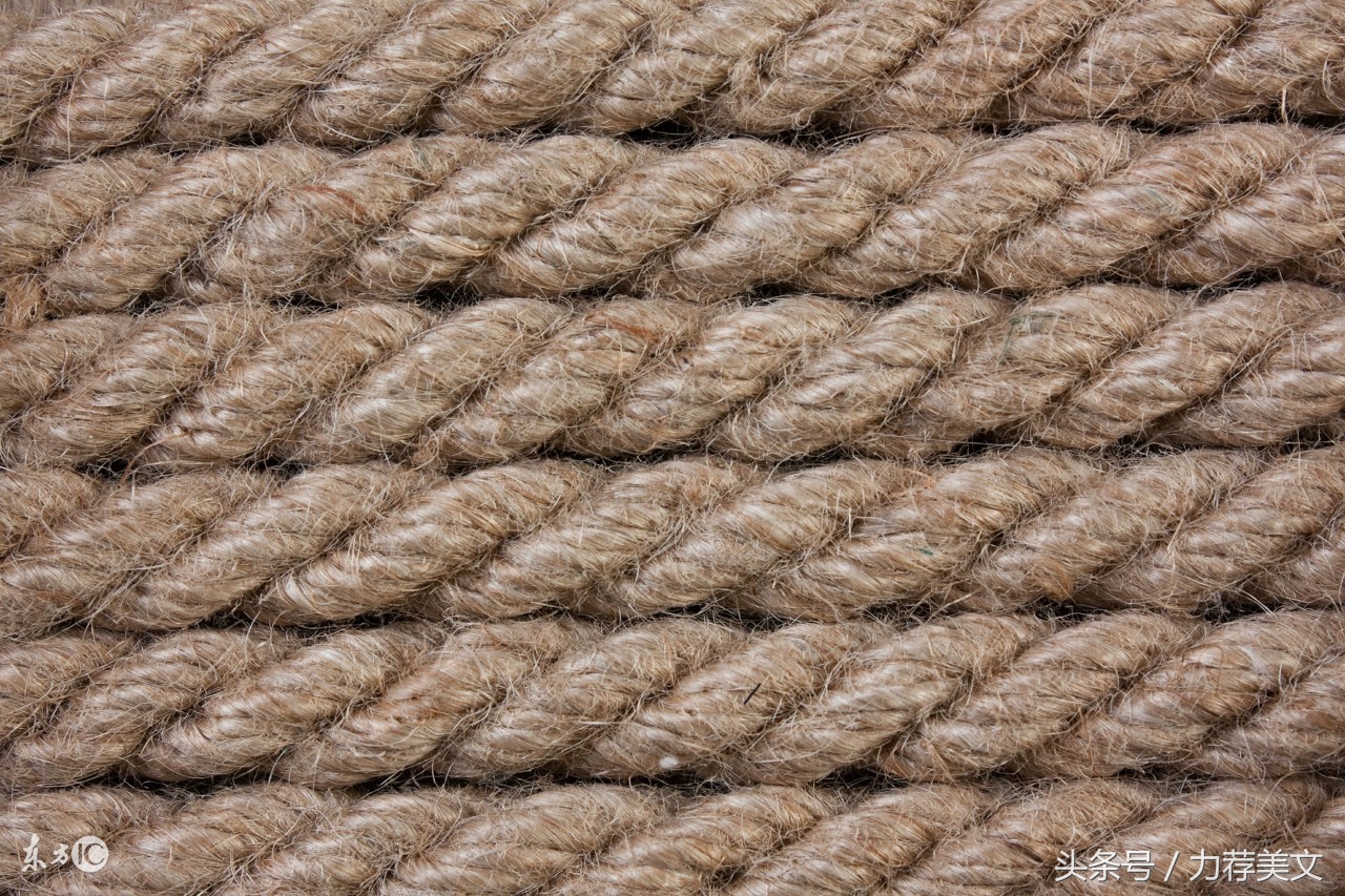 流涛中篇小说在线阅读,流涛的中篇小说