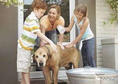 自己在家如何给狗狗做清洁,怎么自己在家给狗狗做内外驱虫