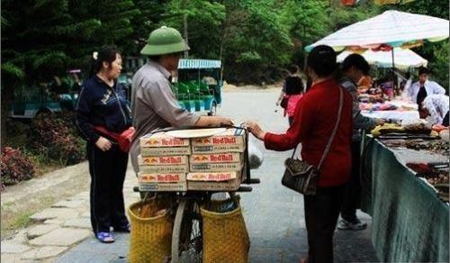 越南奇闻故事,越南趣事