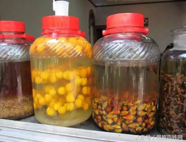 恩施山里野果小时候的味道,恩施野果大全