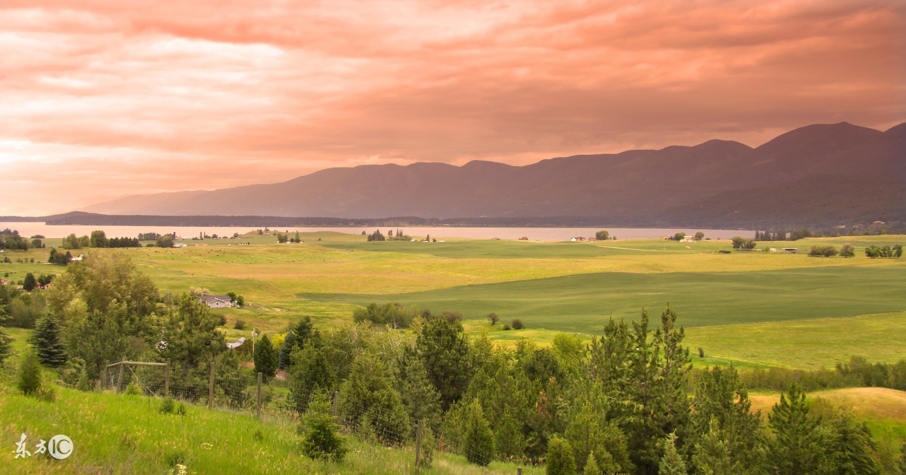 既然不爱了为何不肯放过我,既然你不爱我