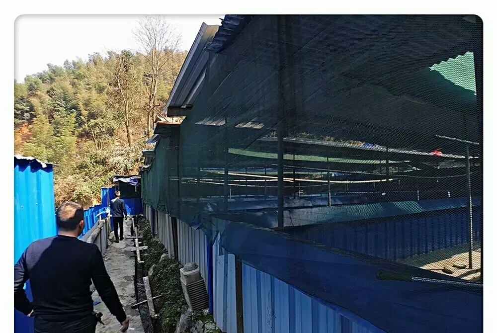 高山生态养殖石蛙,石蛙养殖海拔