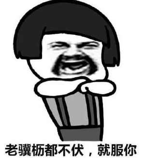 关于大吉大利今晚吃鸡句子,2017吃鸡流行语