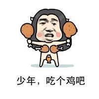 吃鸡流行语大全,吃鸡网络流行语