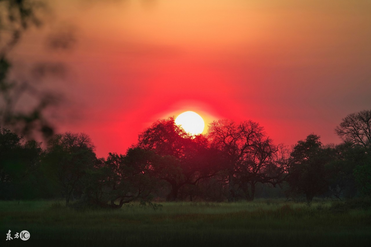 既然不爱了为何不肯放过我,既然你不爱我